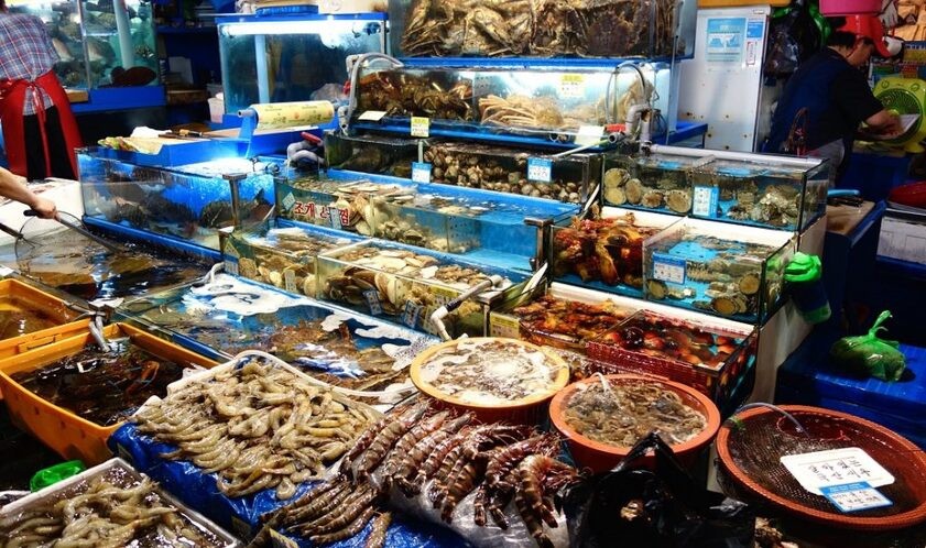 Chợ Cầu Sấu Phú Quốc buôn bán phong phú các loại hải sản