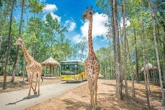 Du khách trải nghiệm khám phá động vật hoang dã tại Vinpearl Safari Phú Quốc