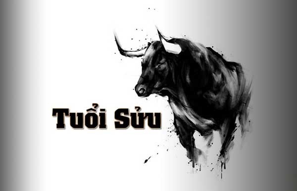 Tuổi Sửu cực kỳ năng lượng, luôn tràn đầy nhiệt huyết