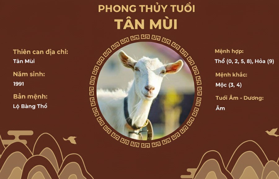 Nam Tân Mùi 1991 hợp hướng: Bắc, Đông, Nam, Đông Nam.