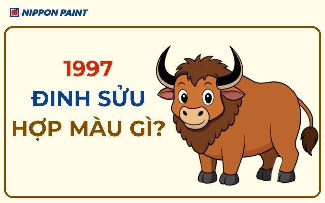 1997 hop mau gi 24 1
