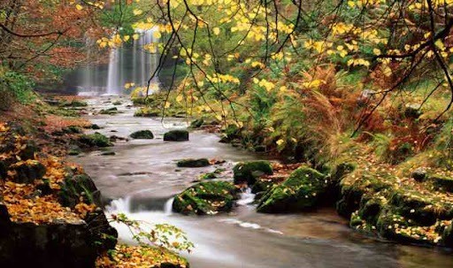 Người sinh năm 2004 thuộc mệnh Tuyền Trung Thủy