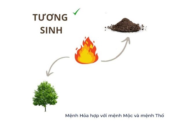 Người mệnh Hỏa tương sinh mạnh mẽ với Mộc và Thổ