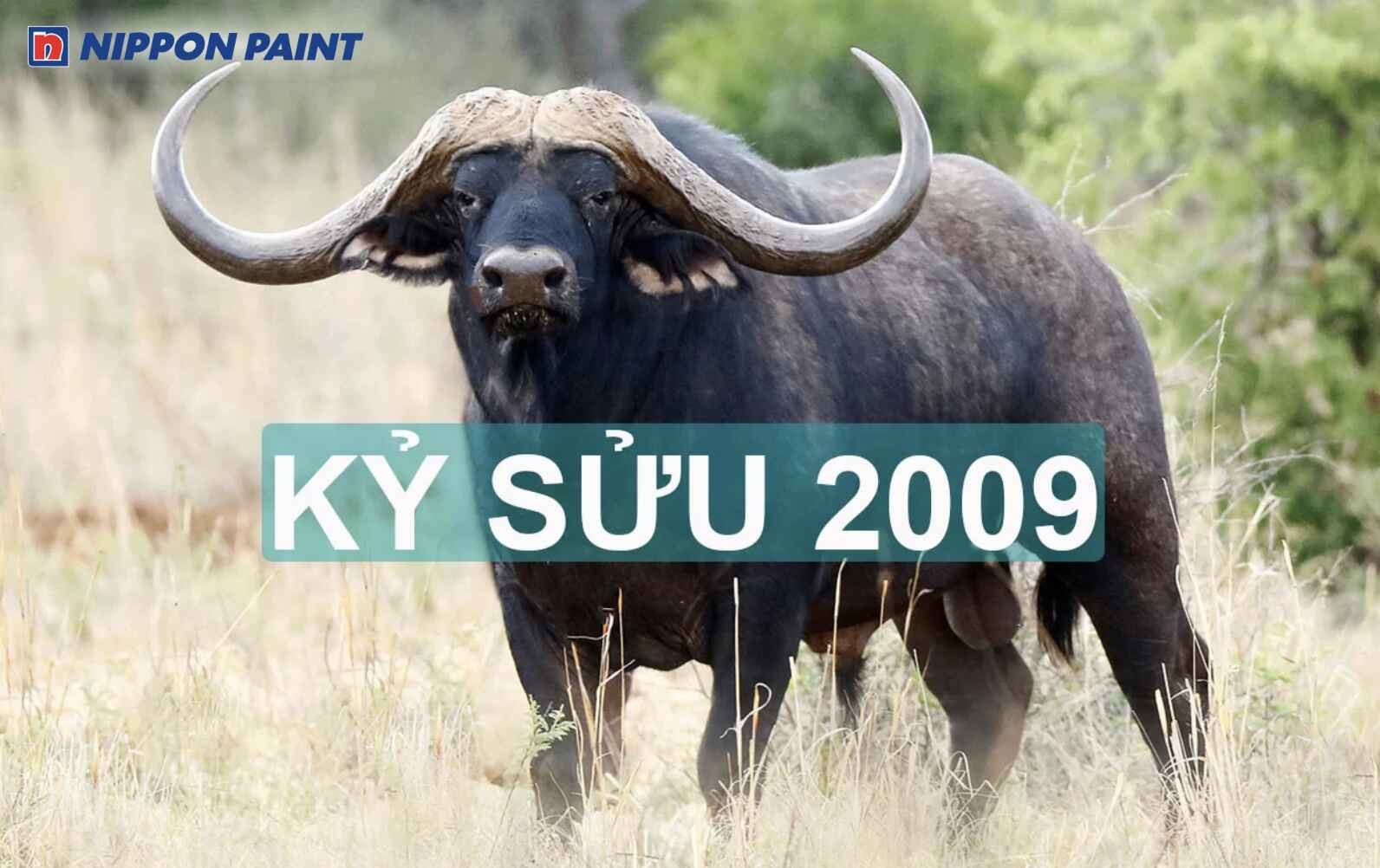Người sinh năm 2009 thuộc tuổi Kỷ Sửu, cầm tinh con Trâu