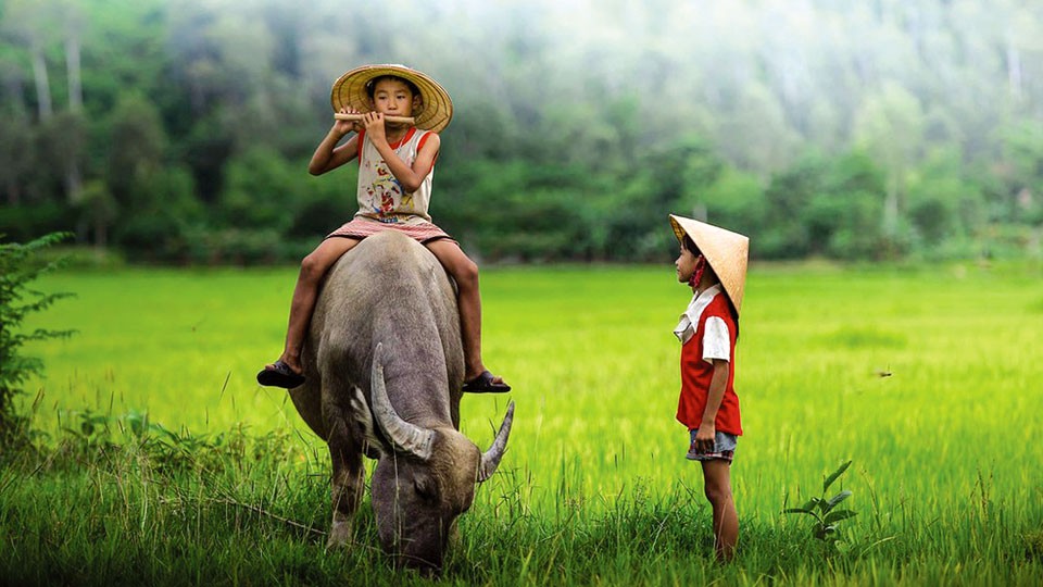 Các tuổi hợp với Kỷ Sửu 2009 trong làm ăn và kết hôn