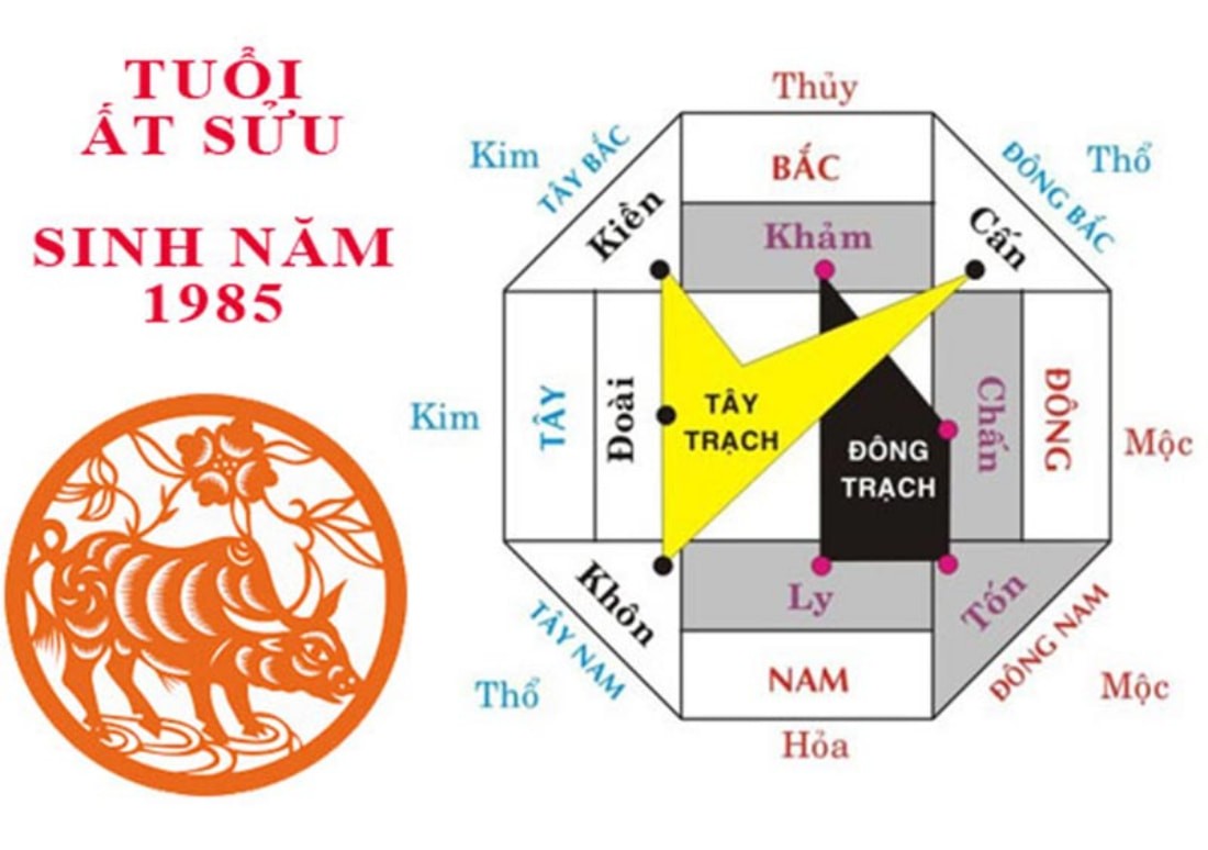 tuoi at suu 1