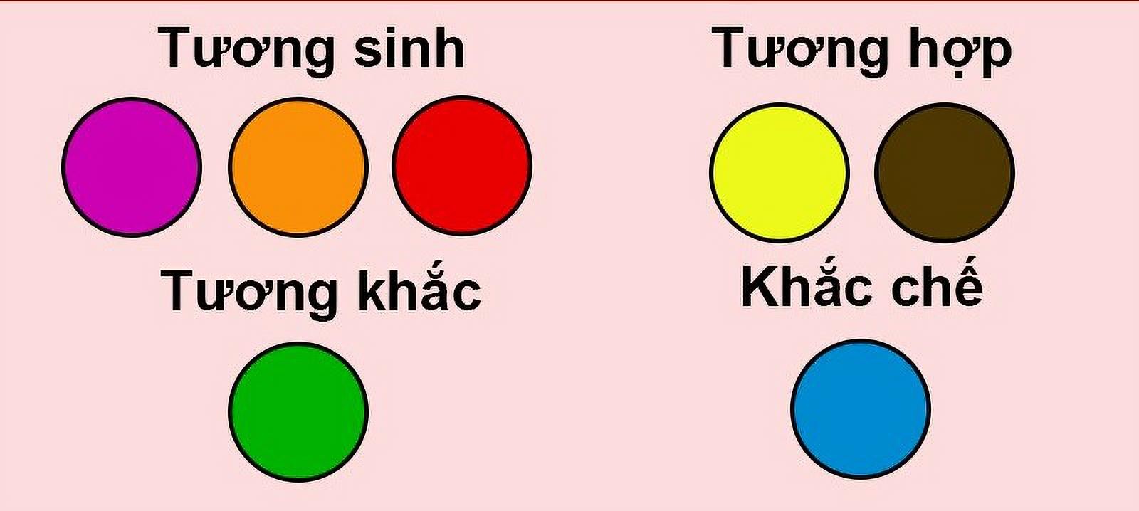 tuoi dan hop mau gi 3 1