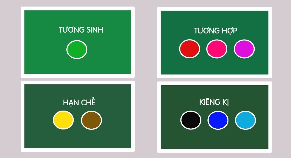 Phong thủy màu sắc cho người tuổi Bính Dần