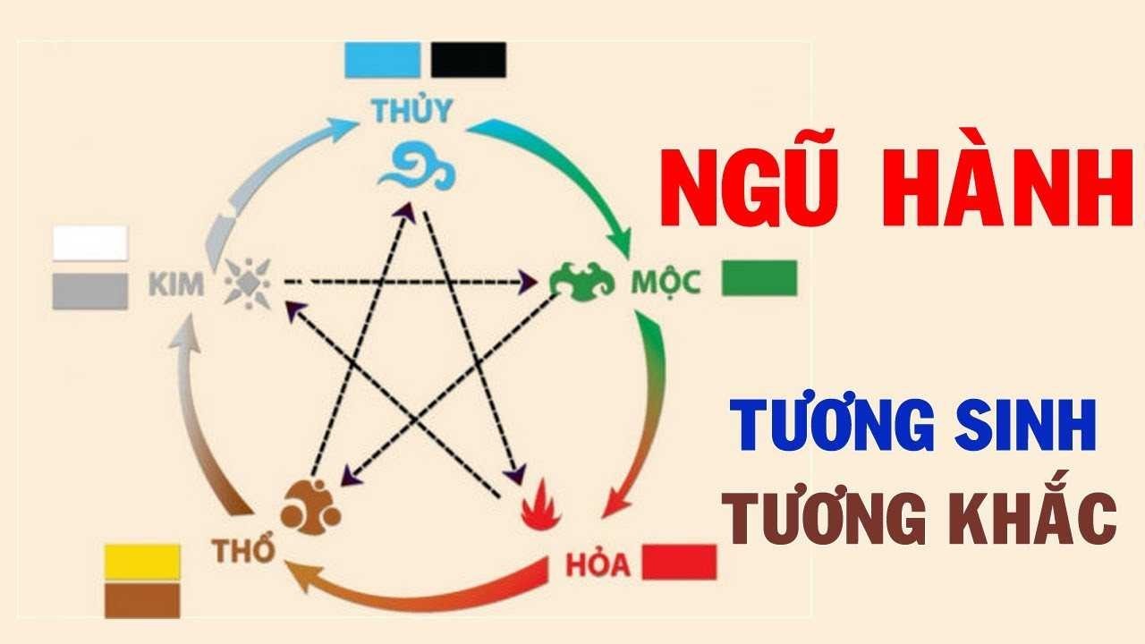 tuoi nham ty hop mau gi 3 1