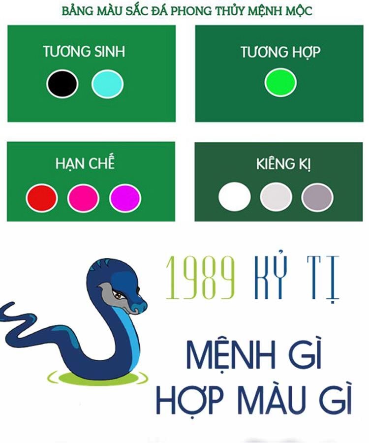 Người tuổi Tỵ mệnh Mộc hợp với các màu xanh lá cây, xanh dương, đen để thúc đẩy năng lượng tích cực