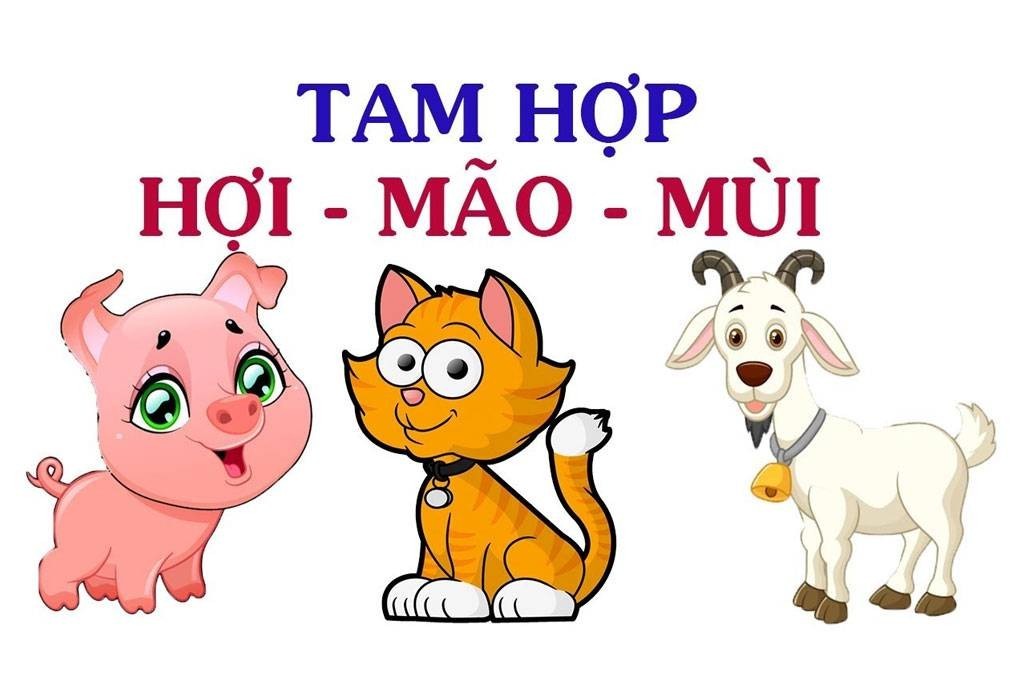 Tam hợp của người tuổi Mùi